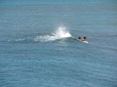 Ala Moana Park