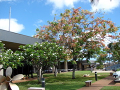 Pearl Harbor