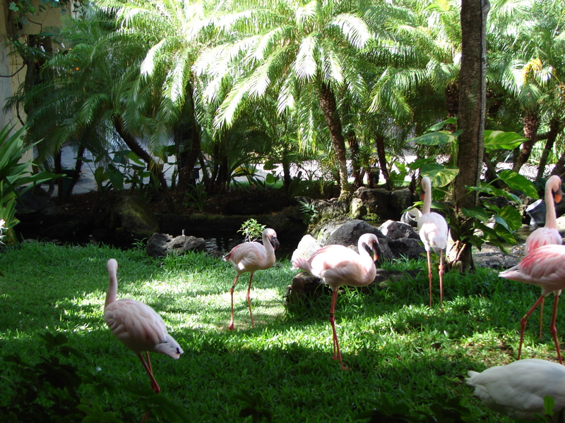 DSC00468.JPG