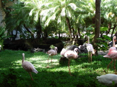 DSC00468.JPG
