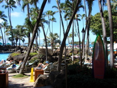 DSC00497.JPG