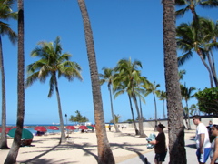 DSC00498.JPG
