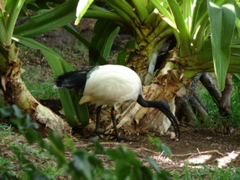 DSC00470.JPG