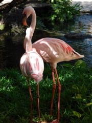 DSC00472.JPG