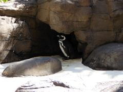 DSC00481.JPG