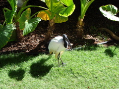 DSC00490.JPG