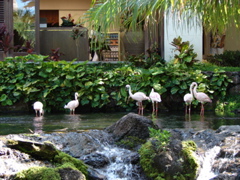 DSC00491.JPG