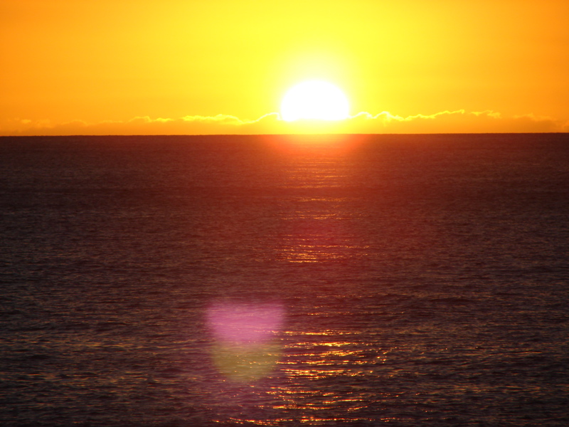 Paradise Cove Luau