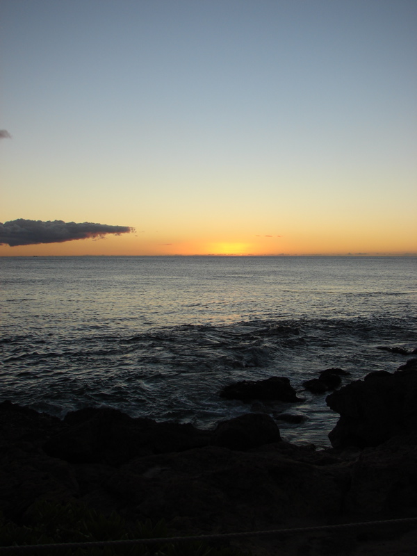 Paradise Cove Luau