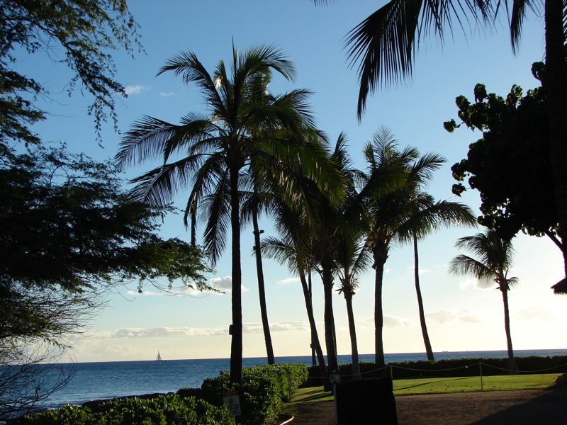 Paradise Cove Luau