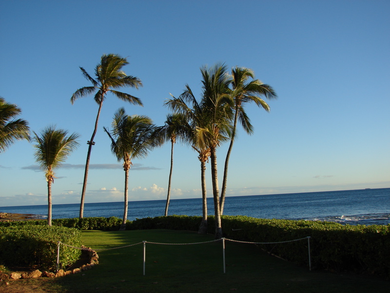 Paradise Cove Luau