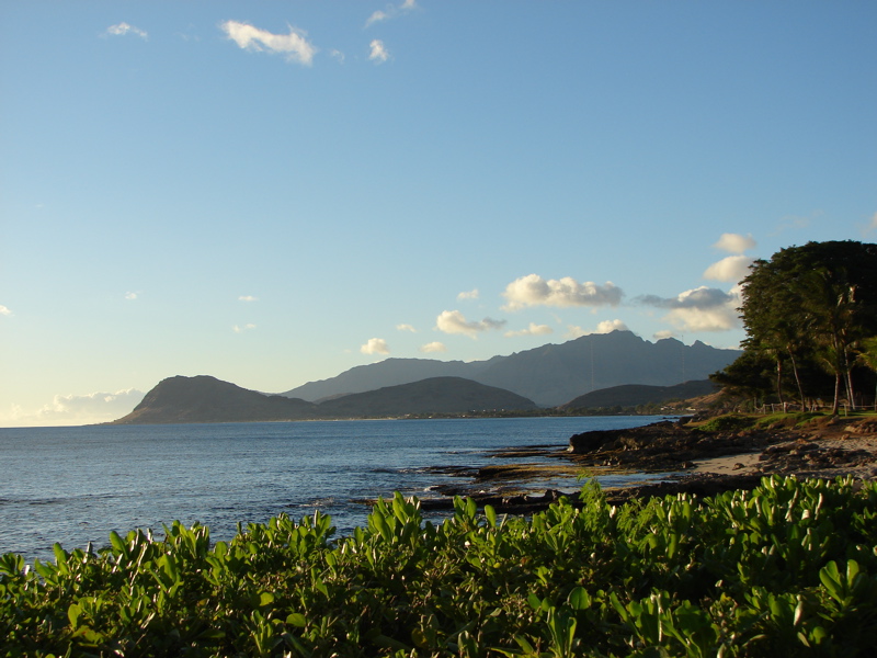 Paradise Cove Luau