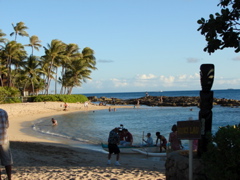 Paradise Cove Luau