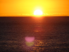 Paradise Cove Luau