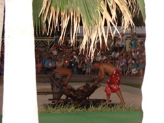 Paradise Cove Luau