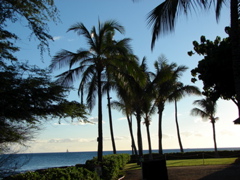 Paradise Cove Luau