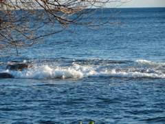 Paradise Cove Luau