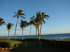 Paradise Cove Luau
