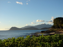 Paradise Cove Luau
