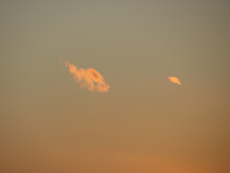 Waikiki Sunset