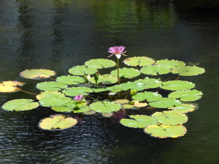 DSC00536.JPG