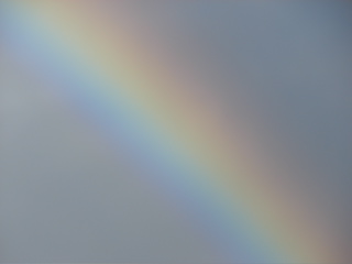 Waikiki Rainbow