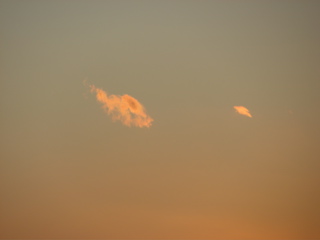 Waikiki Sunset