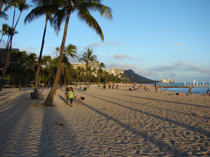 Waikiki Evening