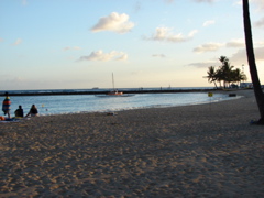 Waikiki Evening