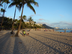 Waikiki Evening