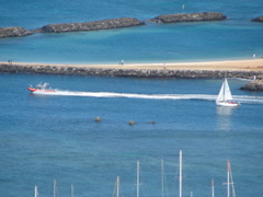 Waikiki Morning