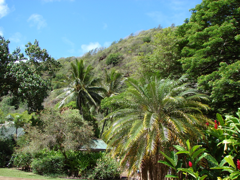 Waimea Valley Audubon Center