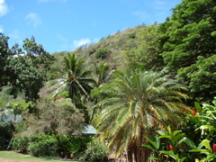 Waimea Valley Audubon Center