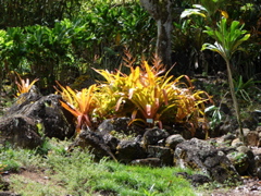 Waimea Valley Audubon Center