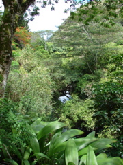 Waimea Valley Audubon Center