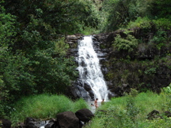 Waimea Valley Audubon Center
