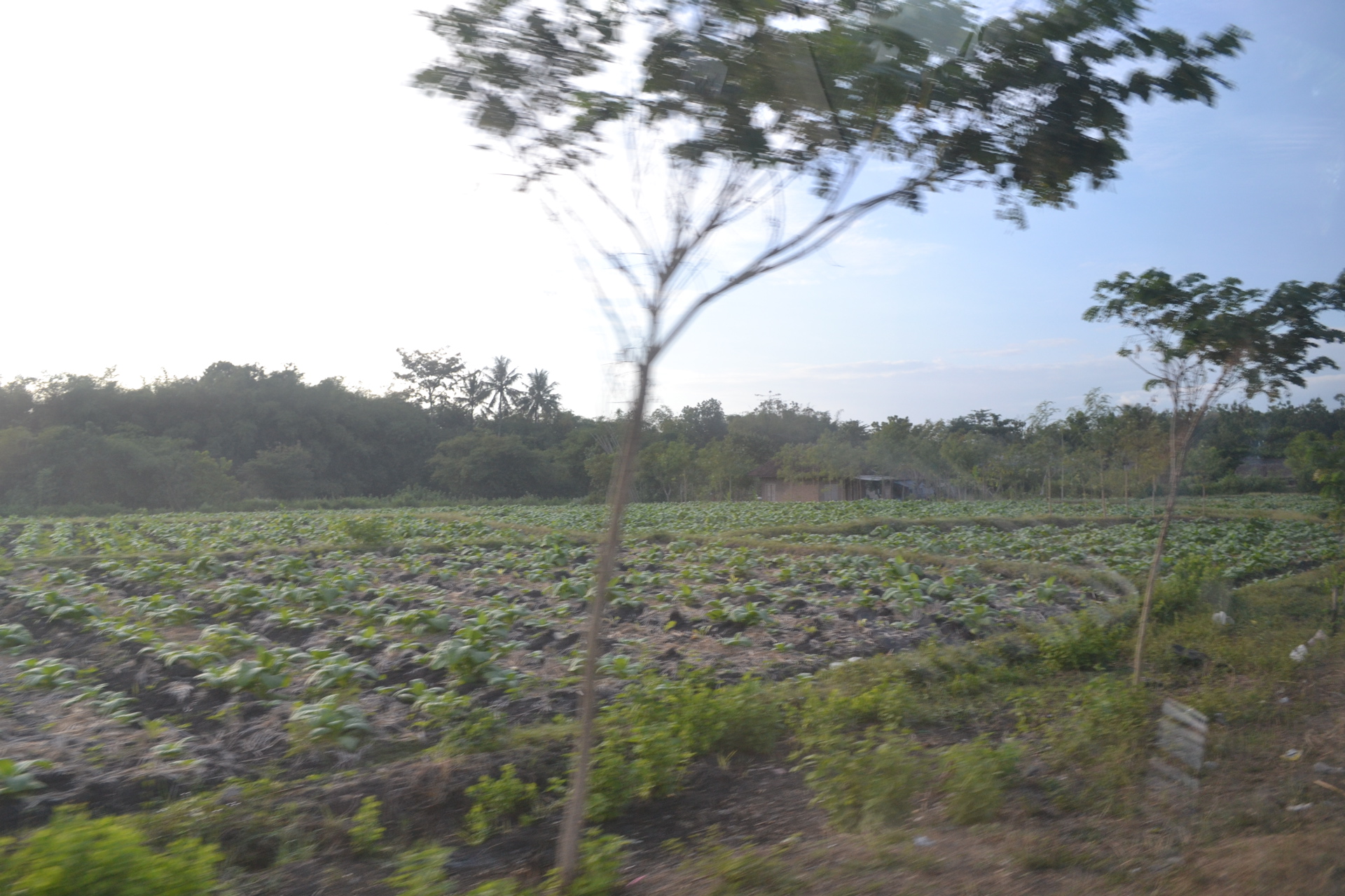 Lombok, Indonesia