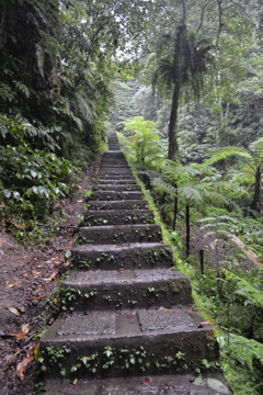 Waterfalls National Park, Lombok