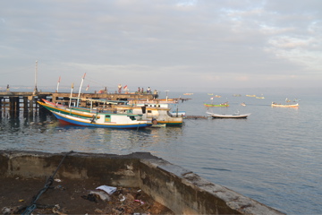 Lombok Fish Market