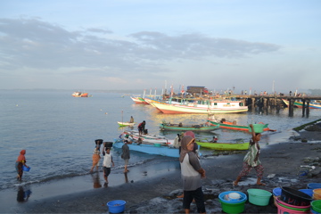 Lombok Fish Market