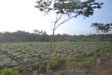 Lombok, Indonesia