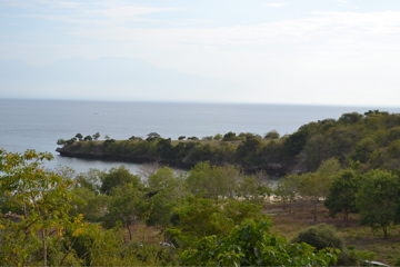 Pink Beach, Lombok