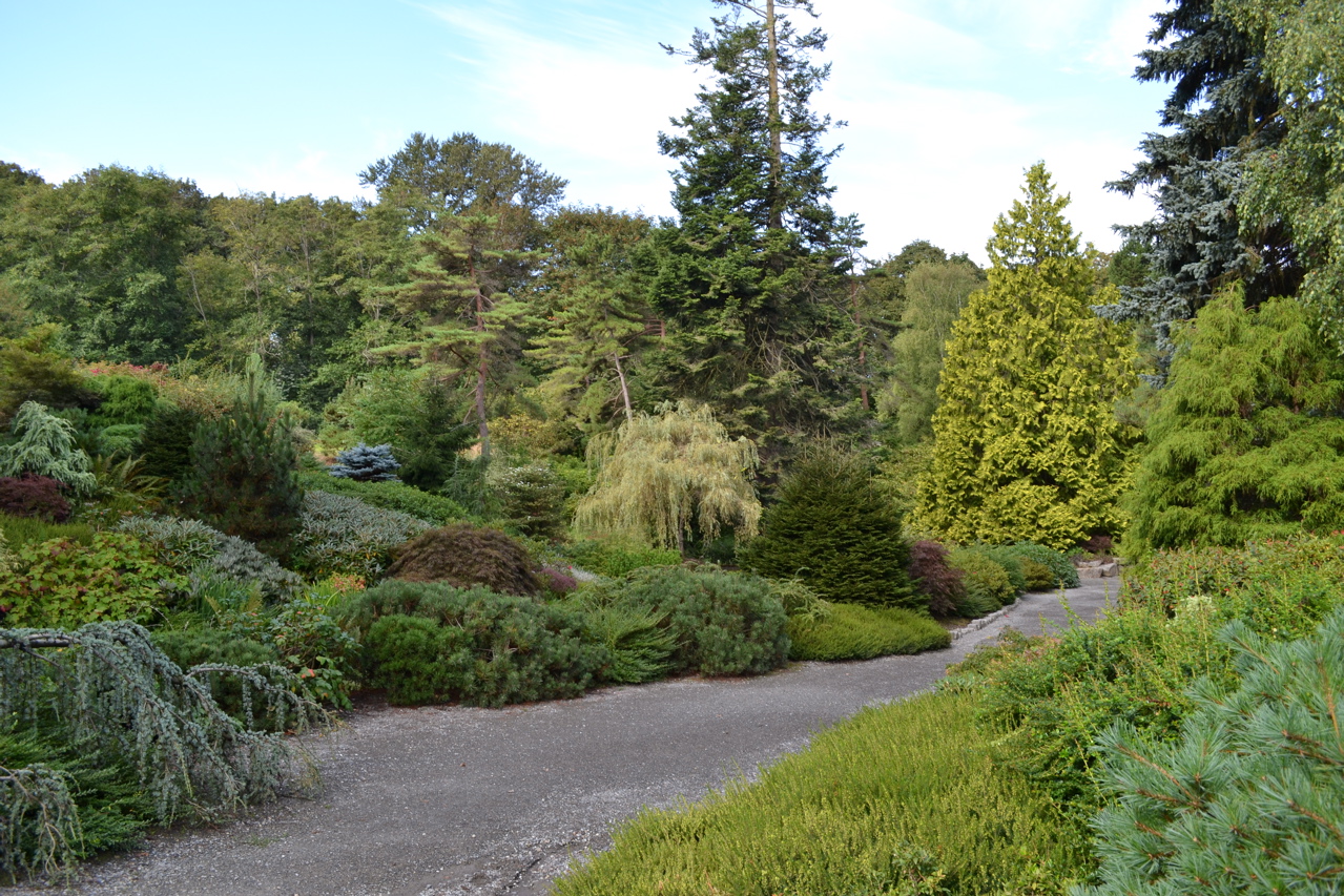 Kubota Garden