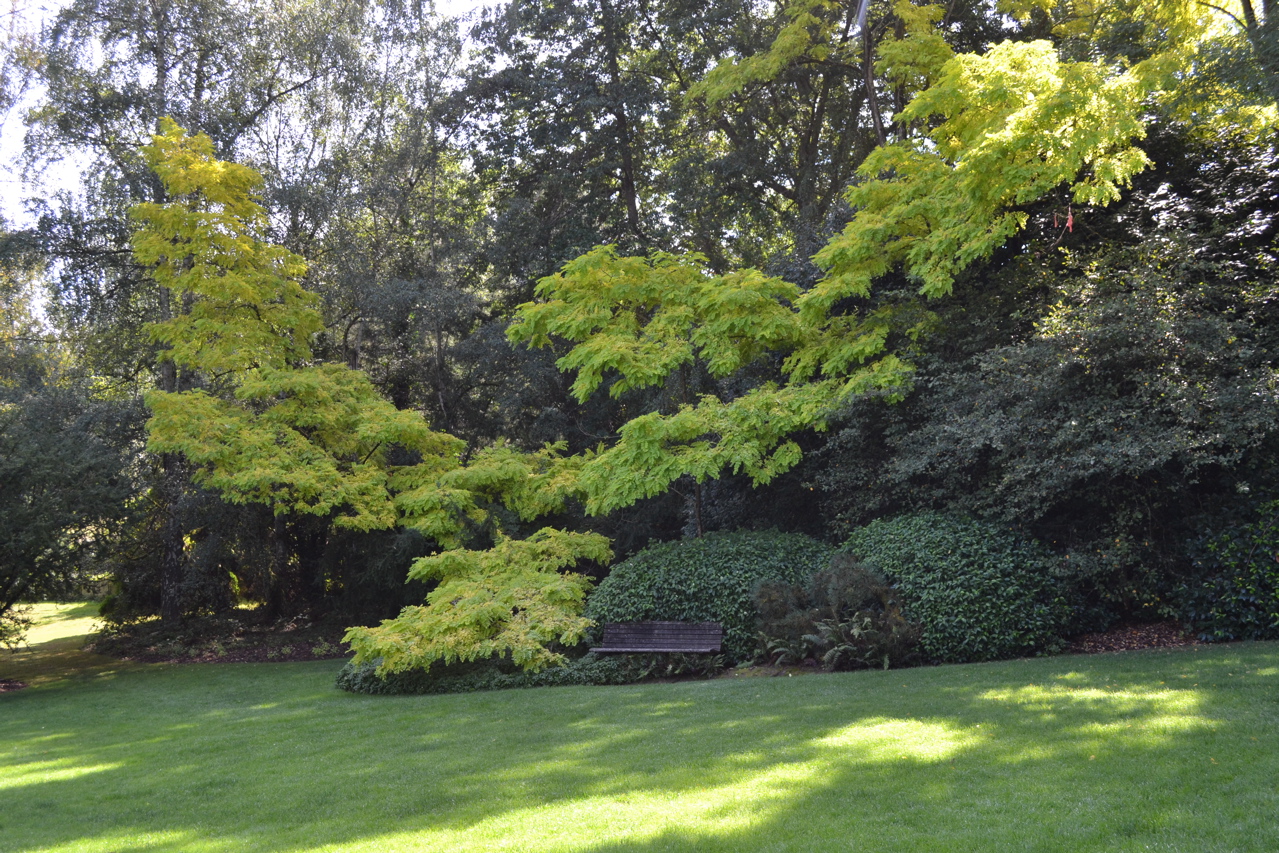 Kubota Garden