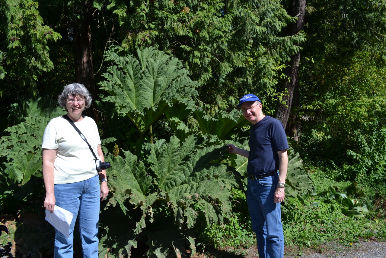 Washington Park Arboretum