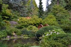 Kubota Garden