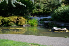 Kubota Garden