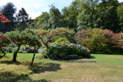 Kubota Garden