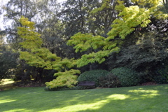 Kubota Garden