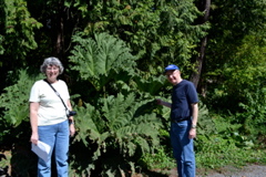 Washington Park Arboretum